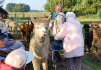 Krefeld Alpakafarm 2022 1.jpg